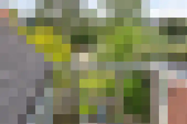 Jan van Arkelweg 11 Rhenen thumbnail 24