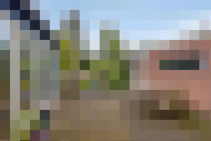 Jan van Arkelweg 11 Rhenen thumbnail 27
