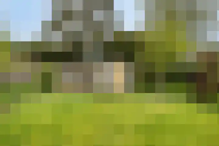 Jan van Arkelweg 11 Rhenen thumbnail 29