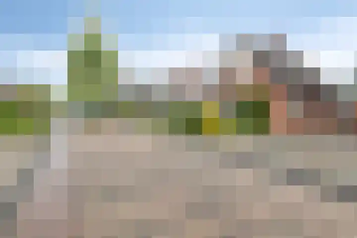 Jan van Arkelweg 11 Rhenen thumbnail 30