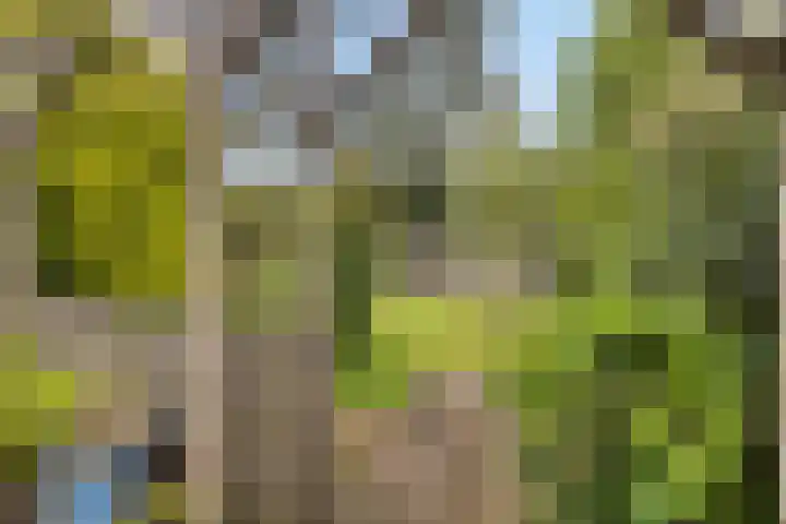 Jan van Arkelweg 11 Rhenen thumbnail 4