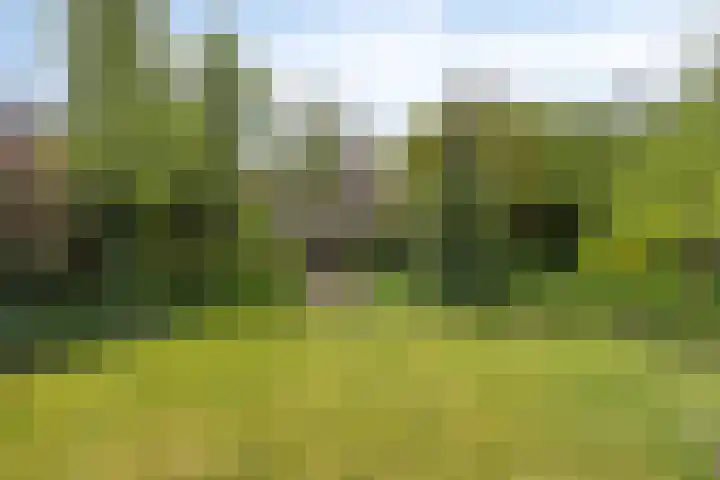 Jan van Arkelweg 11 Rhenen thumbnail 5