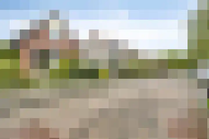 Jan van Arkelweg 11 Rhenen thumbnail 6