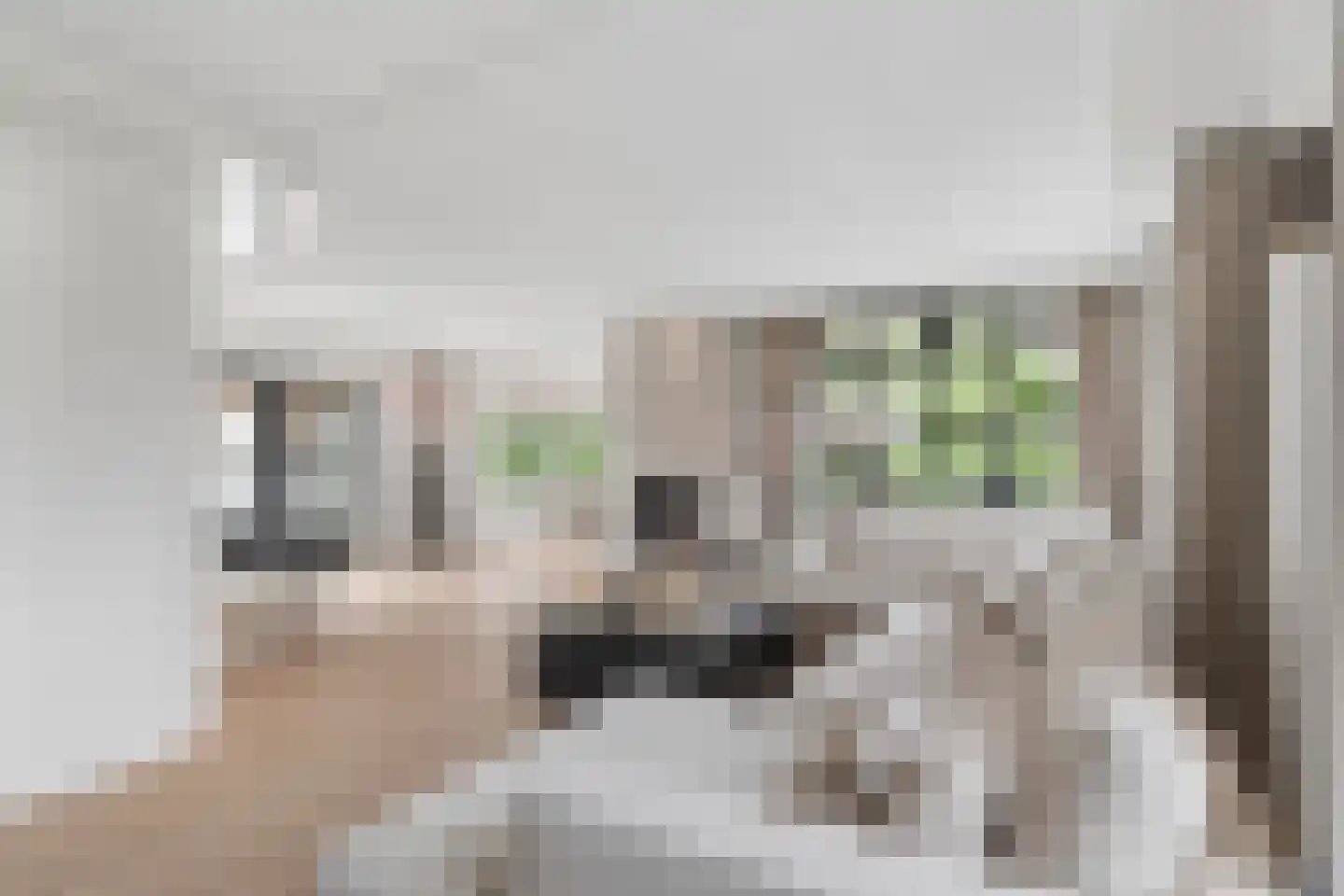Jan van Arkelweg 2 Rhenen thumbnail 12