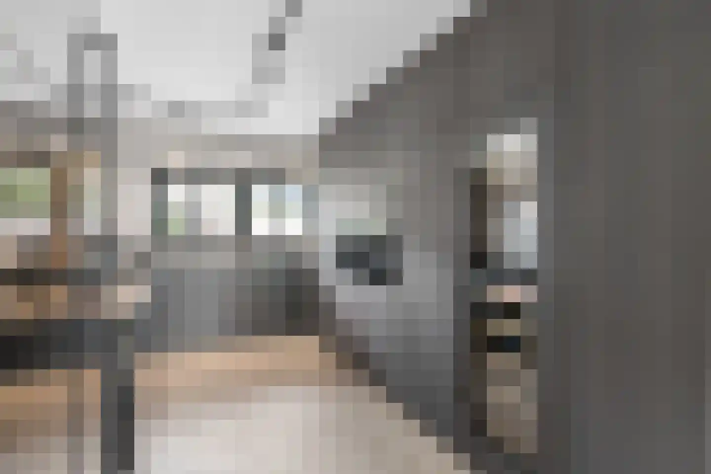 Jan van Arkelweg 2 Rhenen thumbnail 18
