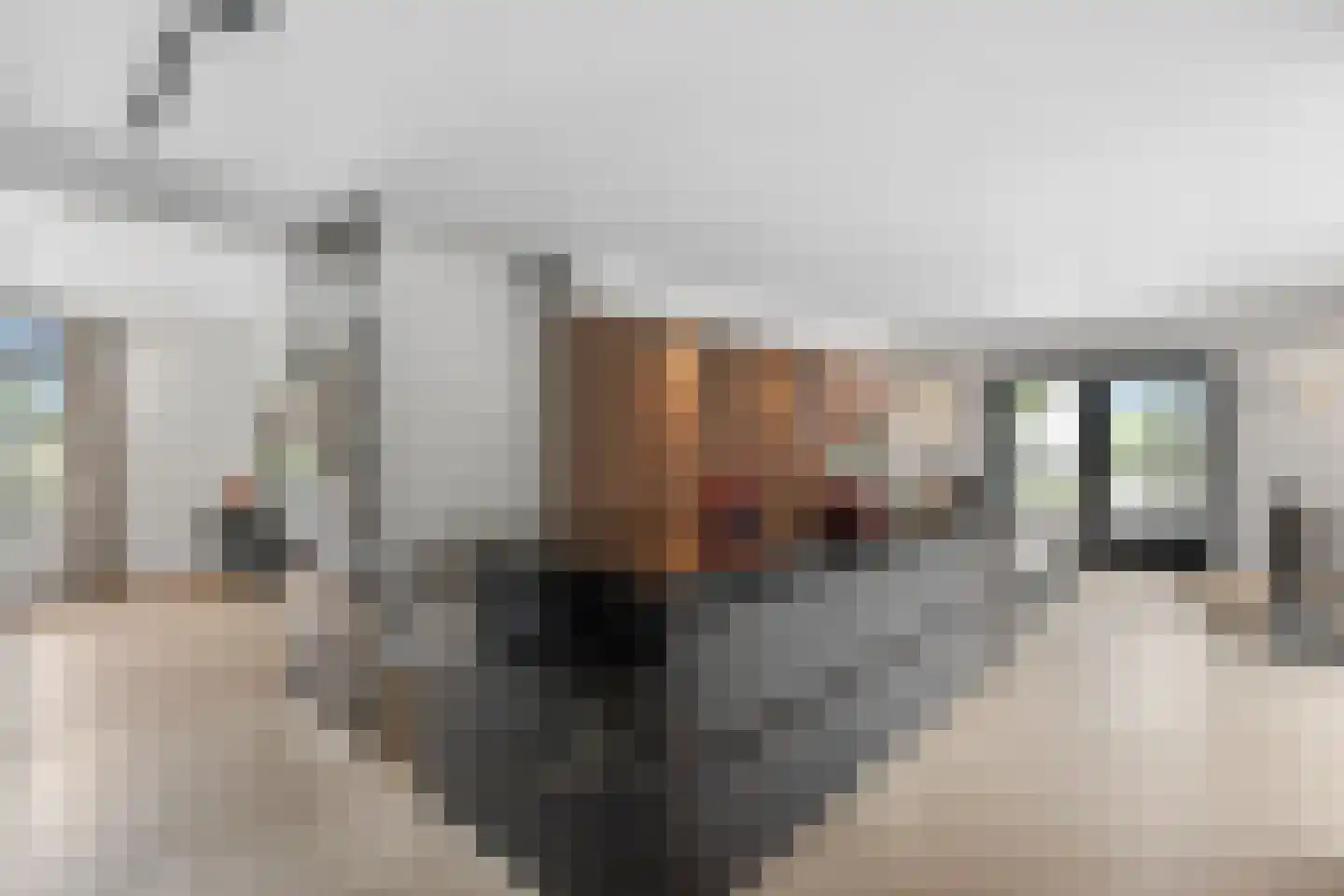 Jan van Arkelweg 2 Rhenen thumbnail 19