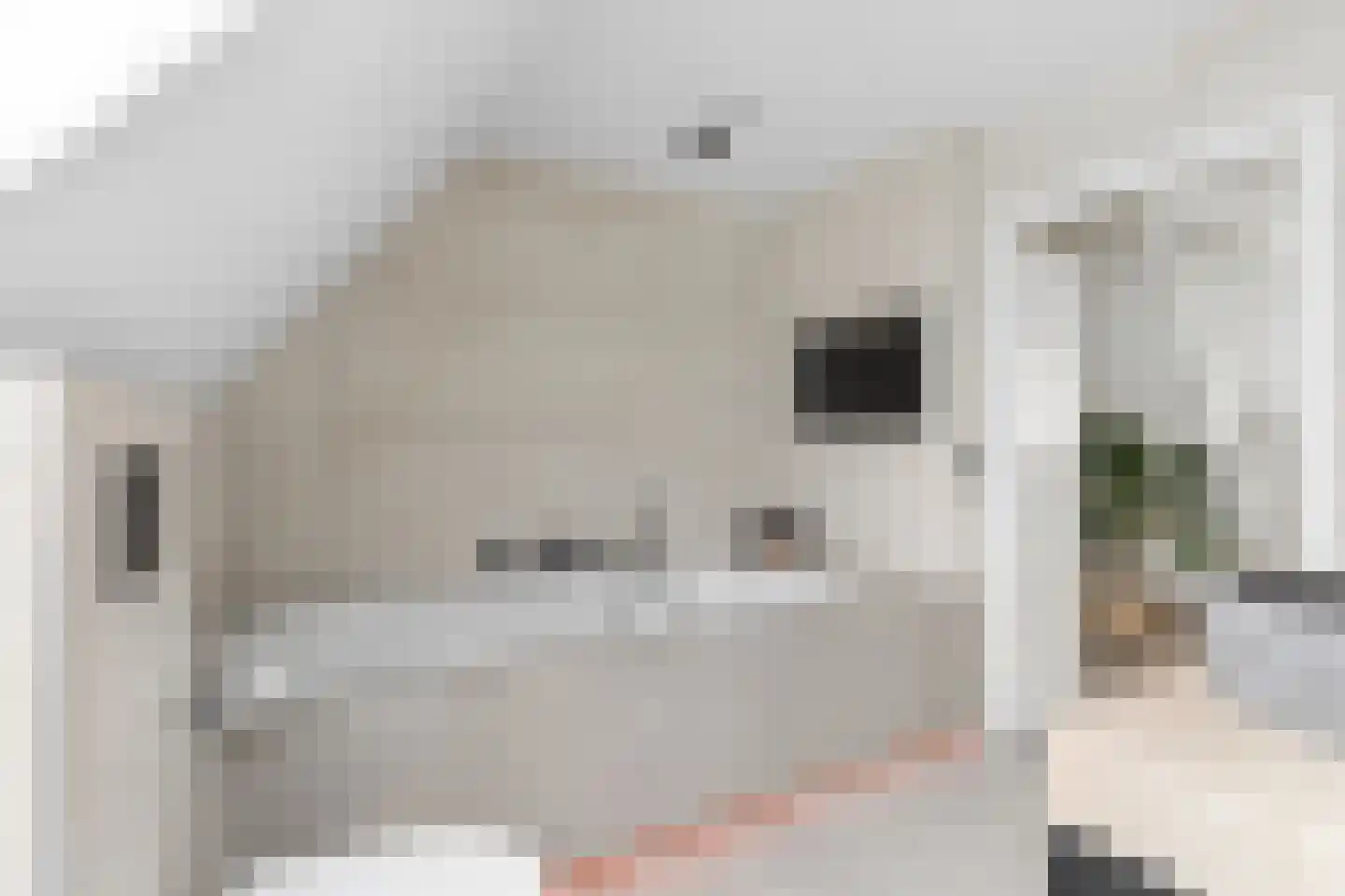 Jan van Arkelweg 2 Rhenen thumbnail 34