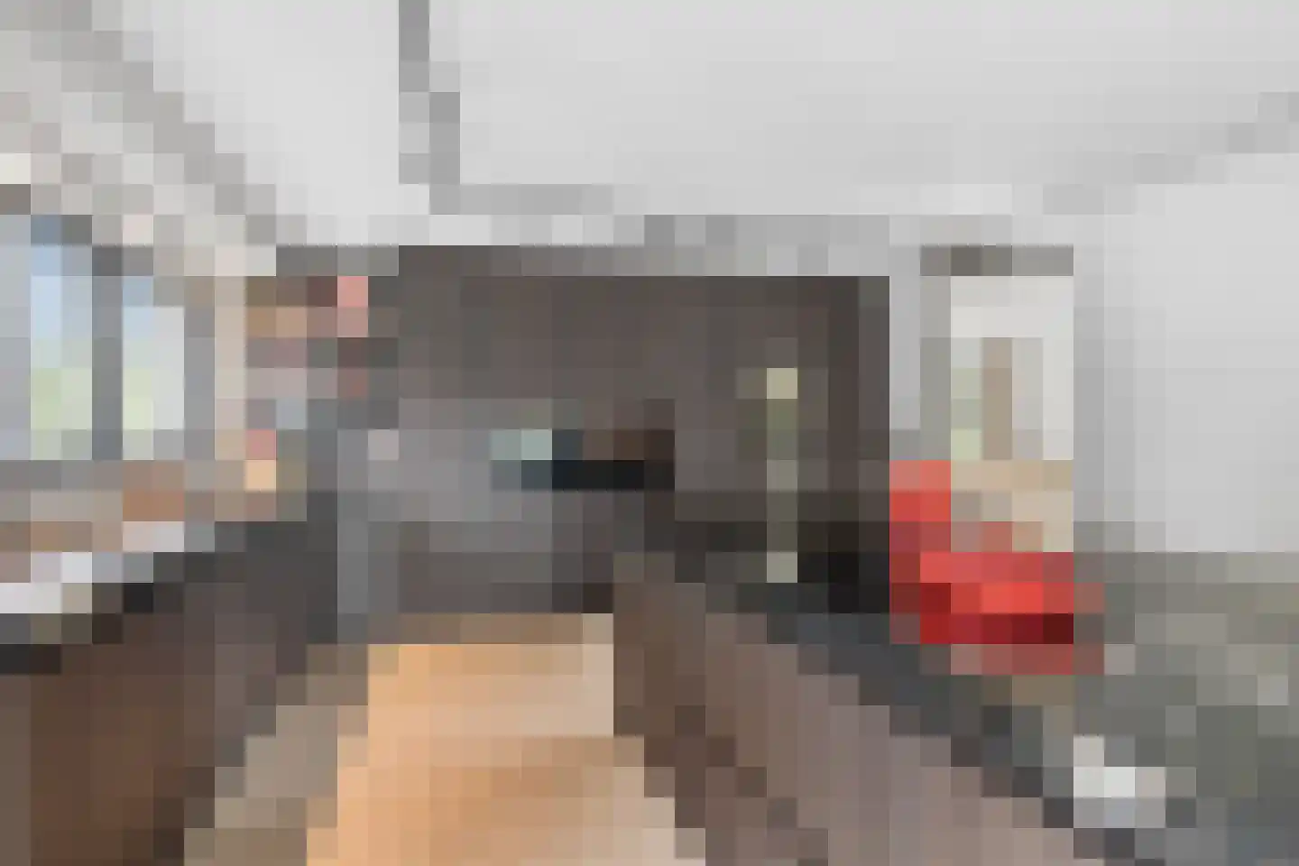 Jan van Arkelweg 2 Rhenen thumbnail 4