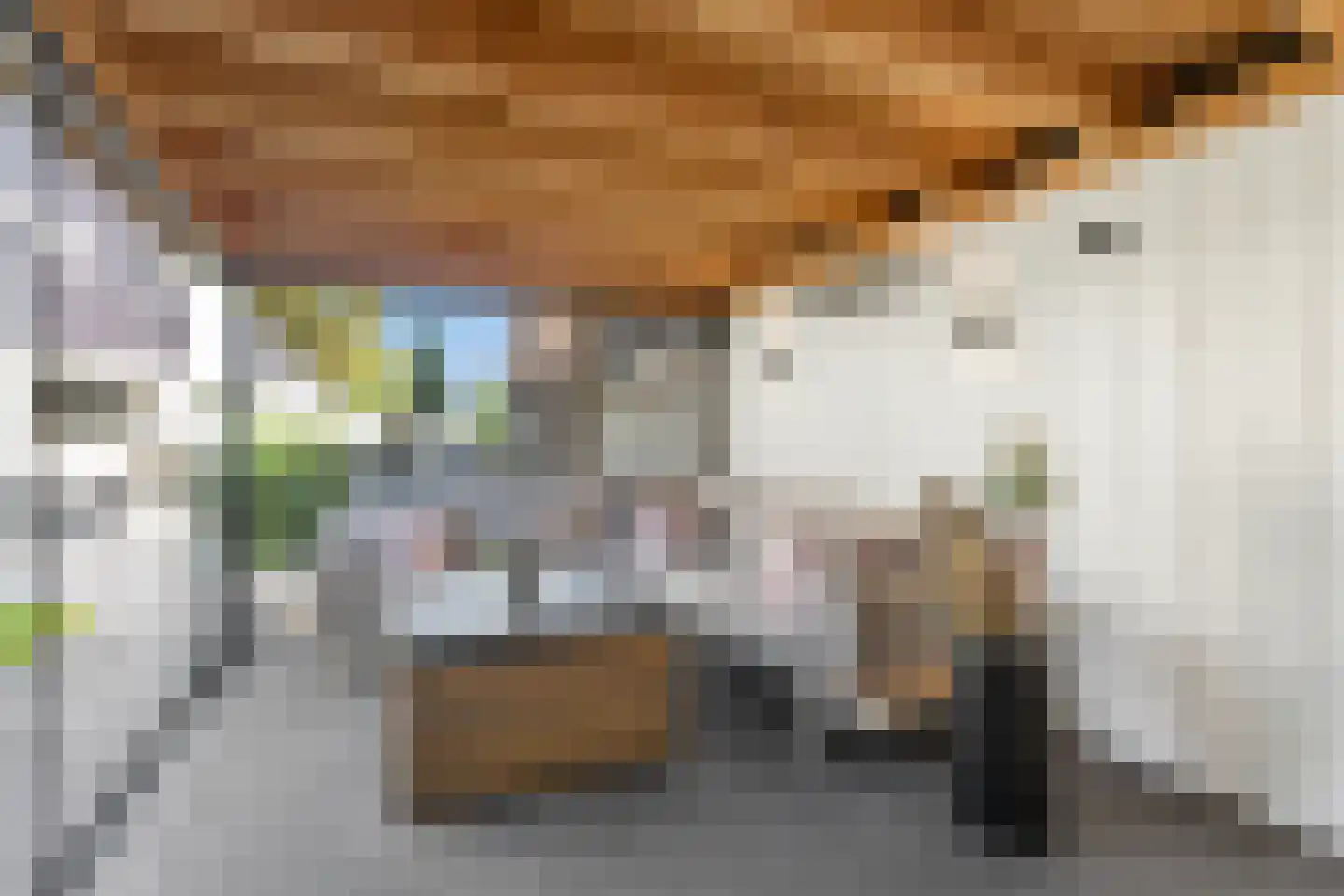 Jan van Arkelweg 2 Rhenen thumbnail 41