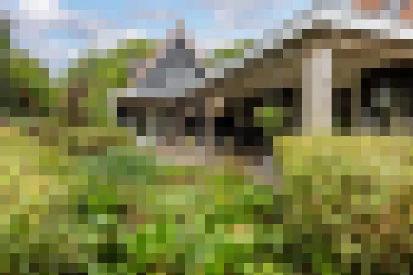 Jan van Arkelweg 46 Achterveld thumbnail 38