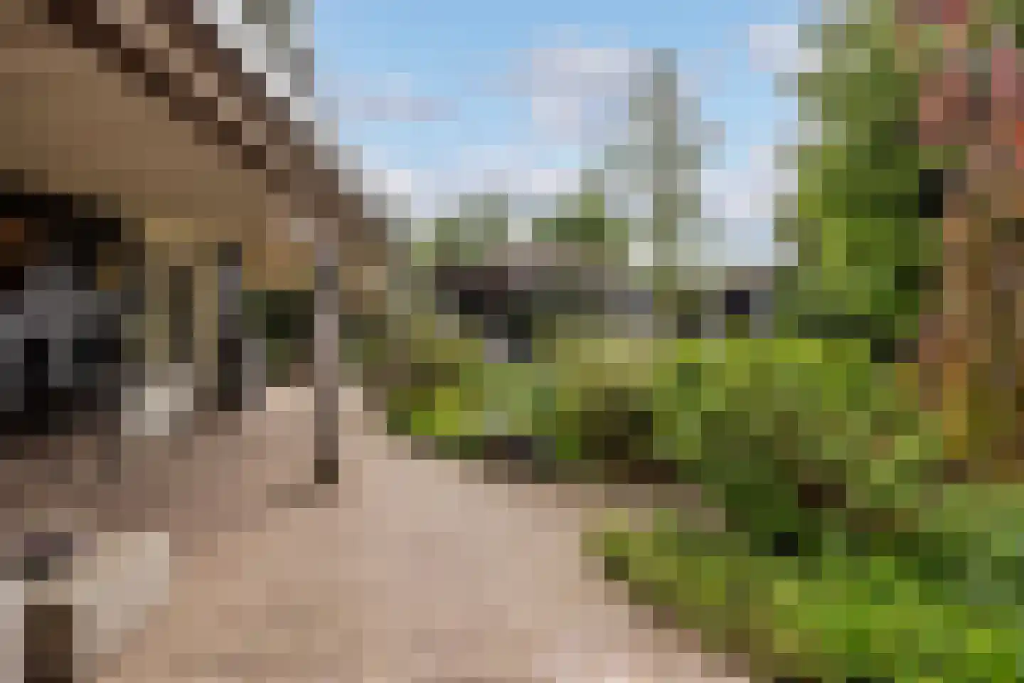 Jan van Arkelweg 46 Achterveld thumbnail 39