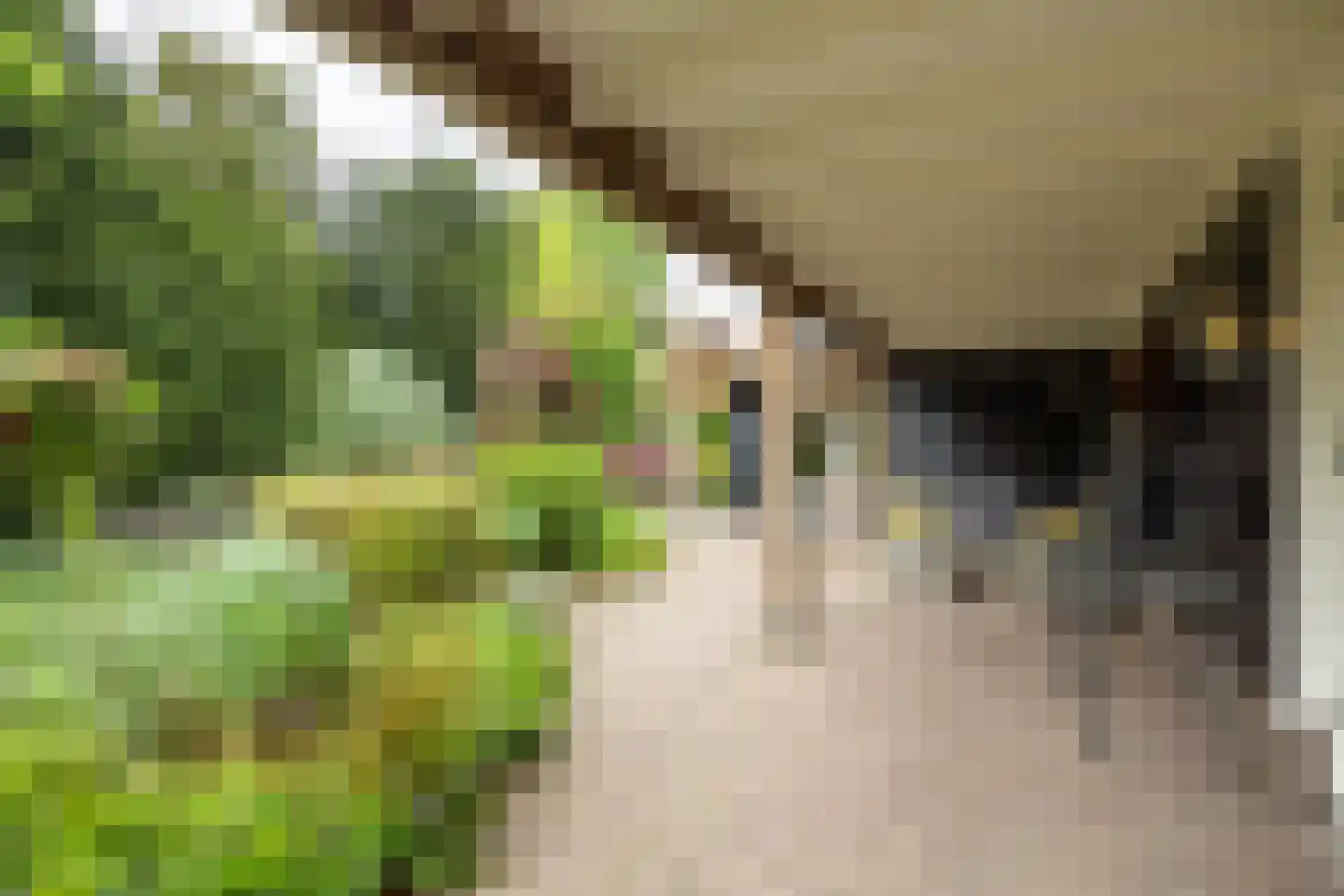 Jan van Arkelweg 46 Achterveld thumbnail 43