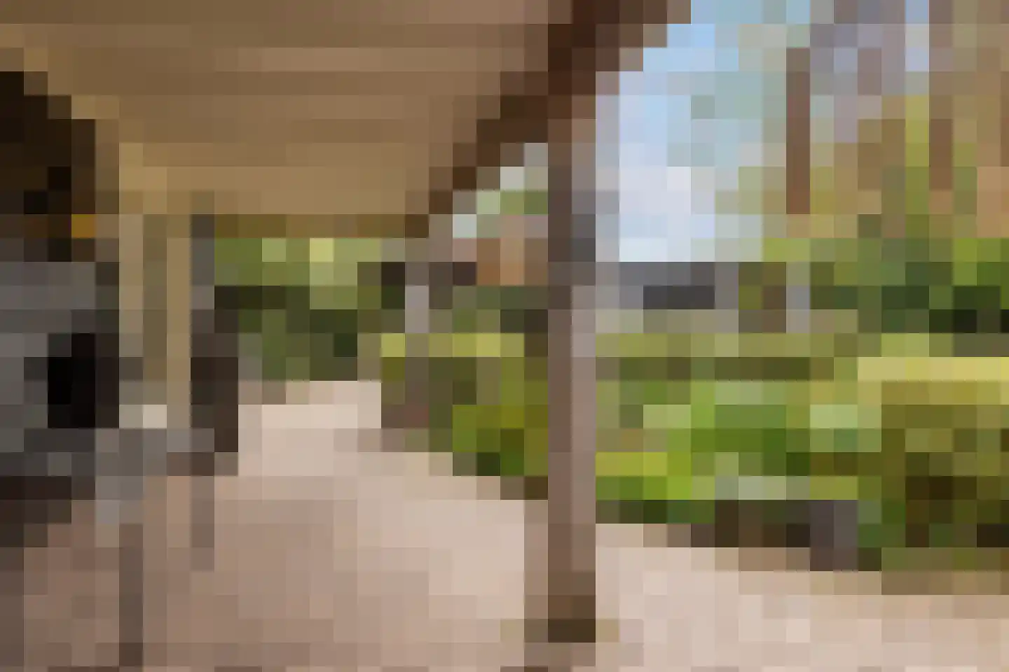 Jan van Arkelweg 46 Achterveld thumbnail 55