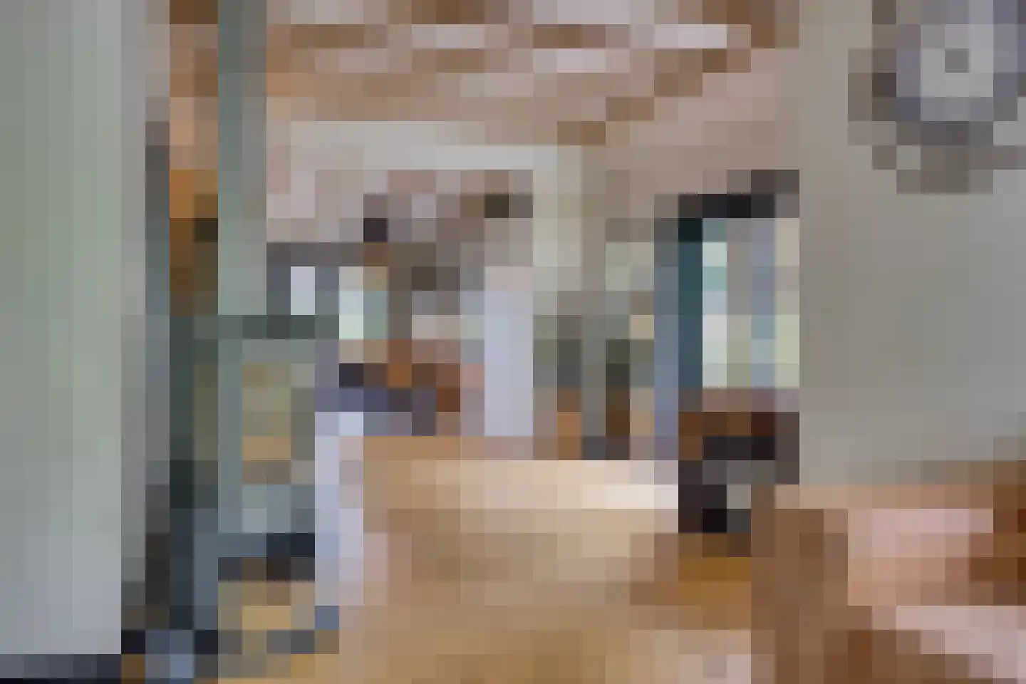 Jan van Arkelweg 46 Achterveld thumbnail 7