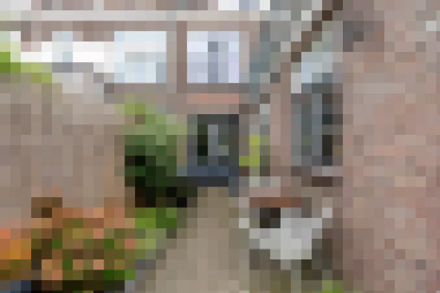 Jan van Avennesstraat 43 Schiedam thumbnail 30