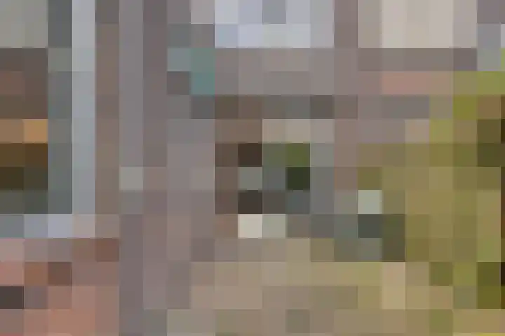 Jan van Avennesstraat 45 B Schiedam thumbnail 22