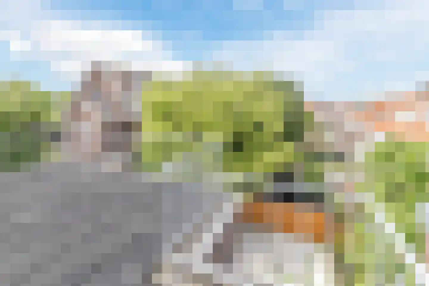 Jan van Avennesstraat 5 1 Schiedam thumbnail 47