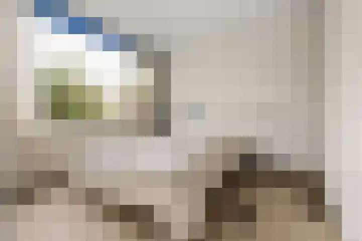 Jan van Avesneslaan 3 Amstelveen thumbnail 13