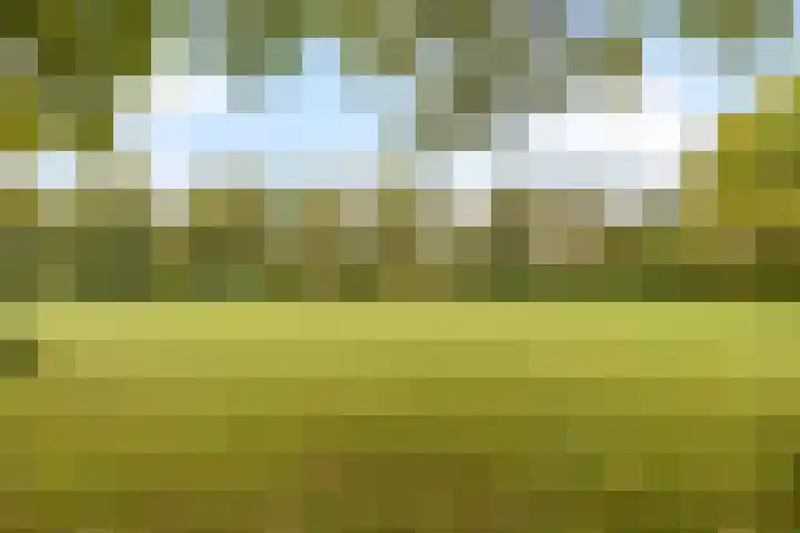 Jan van Avesneslaan 3 Amstelveen thumbnail 25