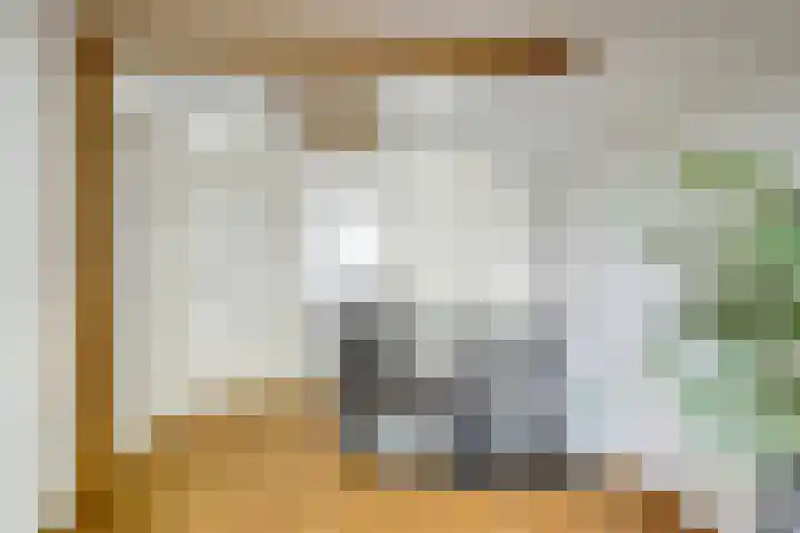 Jan van Banningstraat 2 C Zoeterwoude thumbnail 27