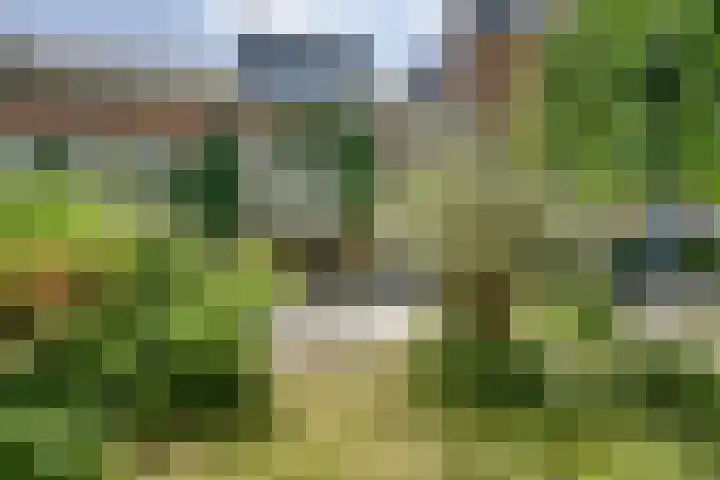 Jan van Banningstraat 2 C Zoeterwoude thumbnail 5