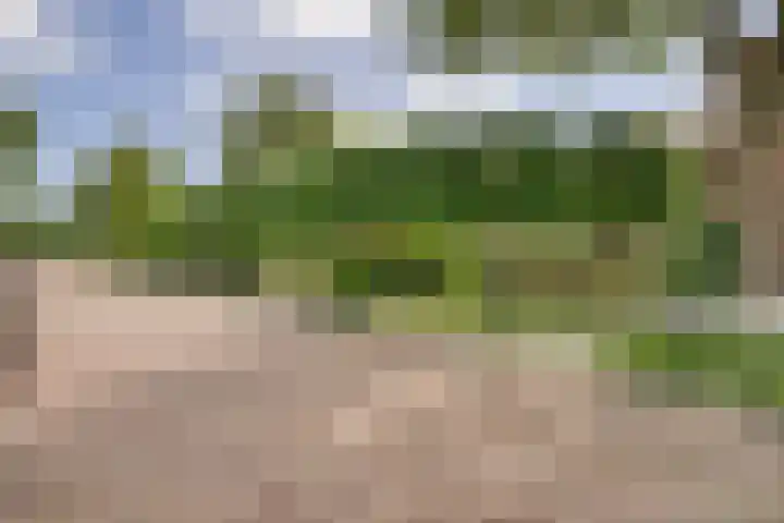 Jan van Banningstraat 2 C Zoeterwoude thumbnail 6