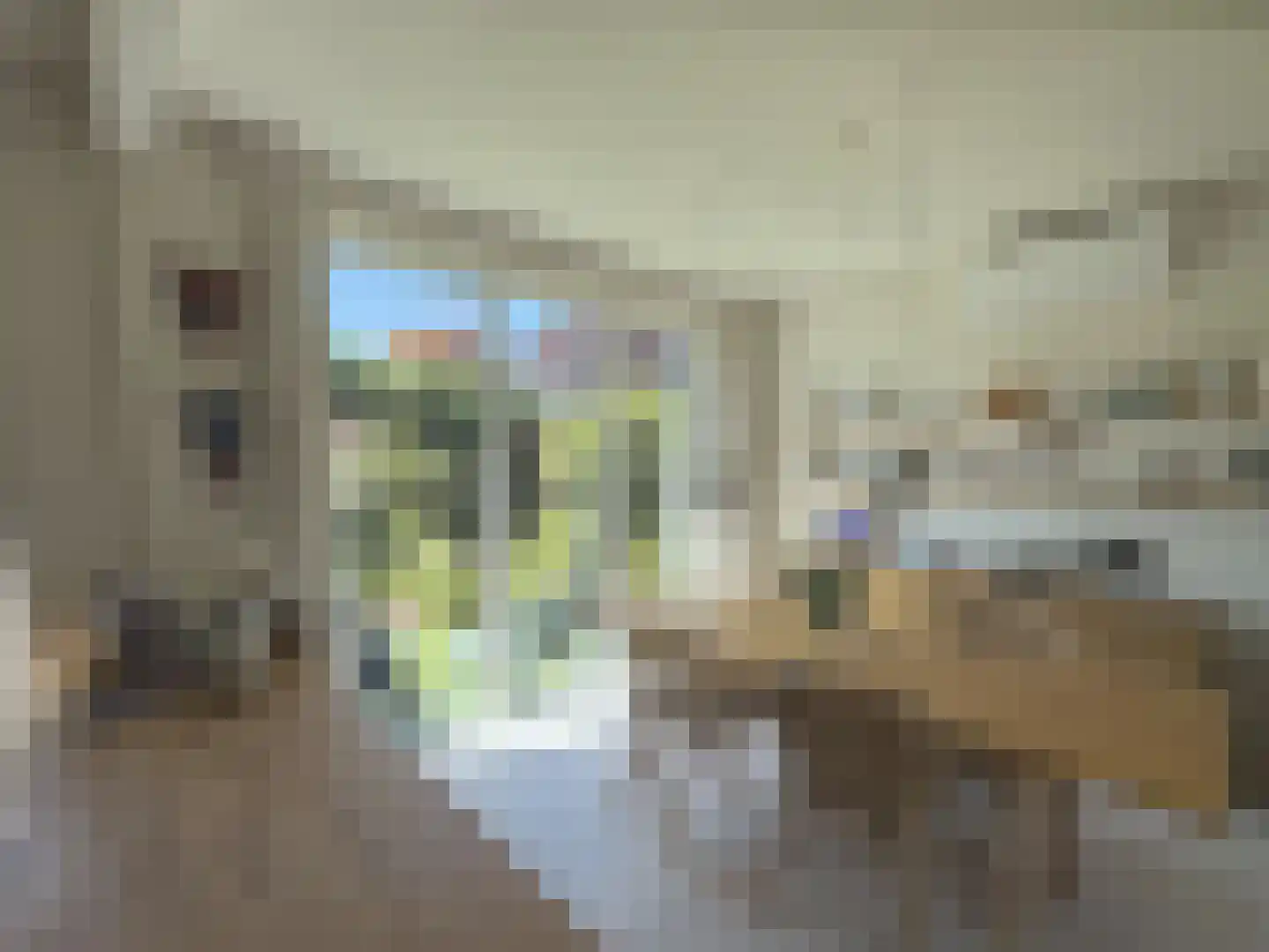 Jan van Beaumontstraat 15 Gouda thumbnail 8