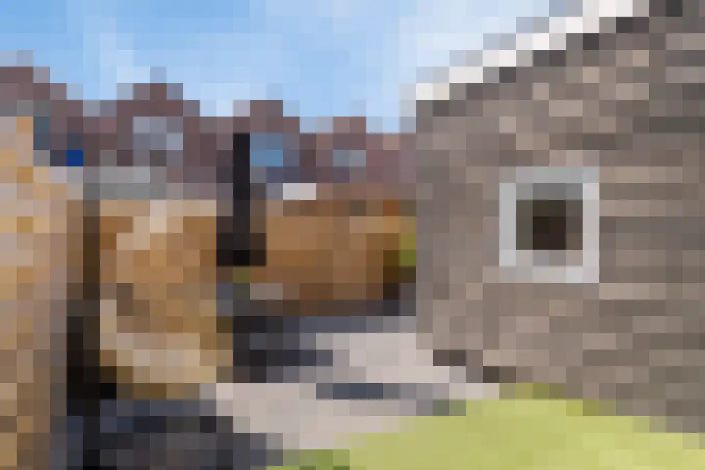 Jan van Beaumontstraat 31 Gouda thumbnail 17