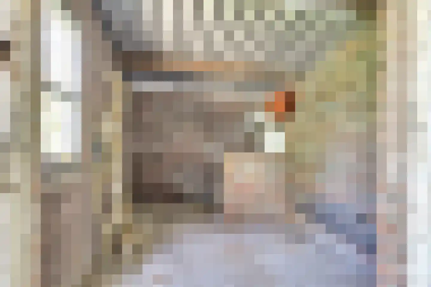 Jan van Beaumontstraat 60 Gouda thumbnail 18