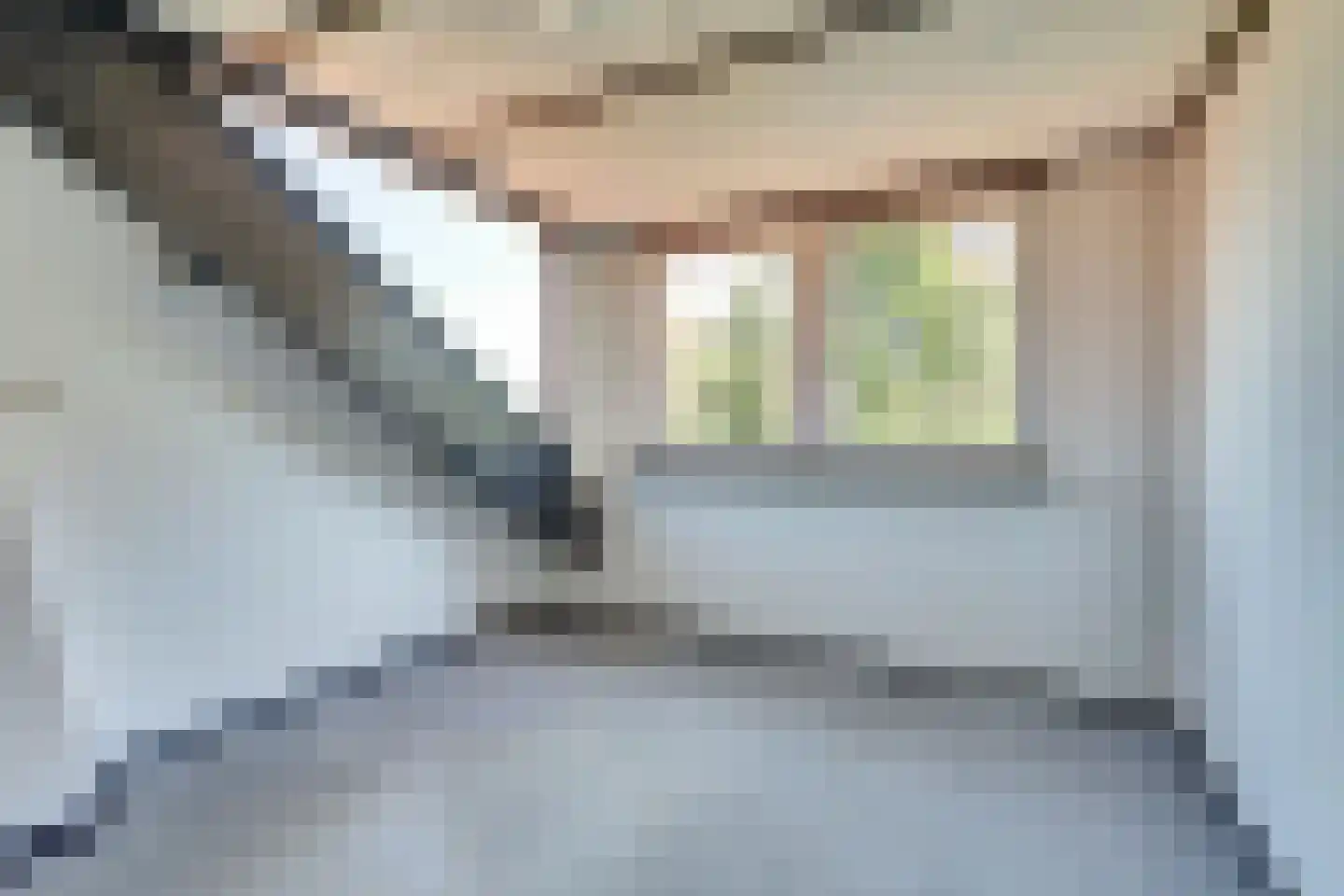 Jan van Beaumontstraat 60 Gouda thumbnail 34