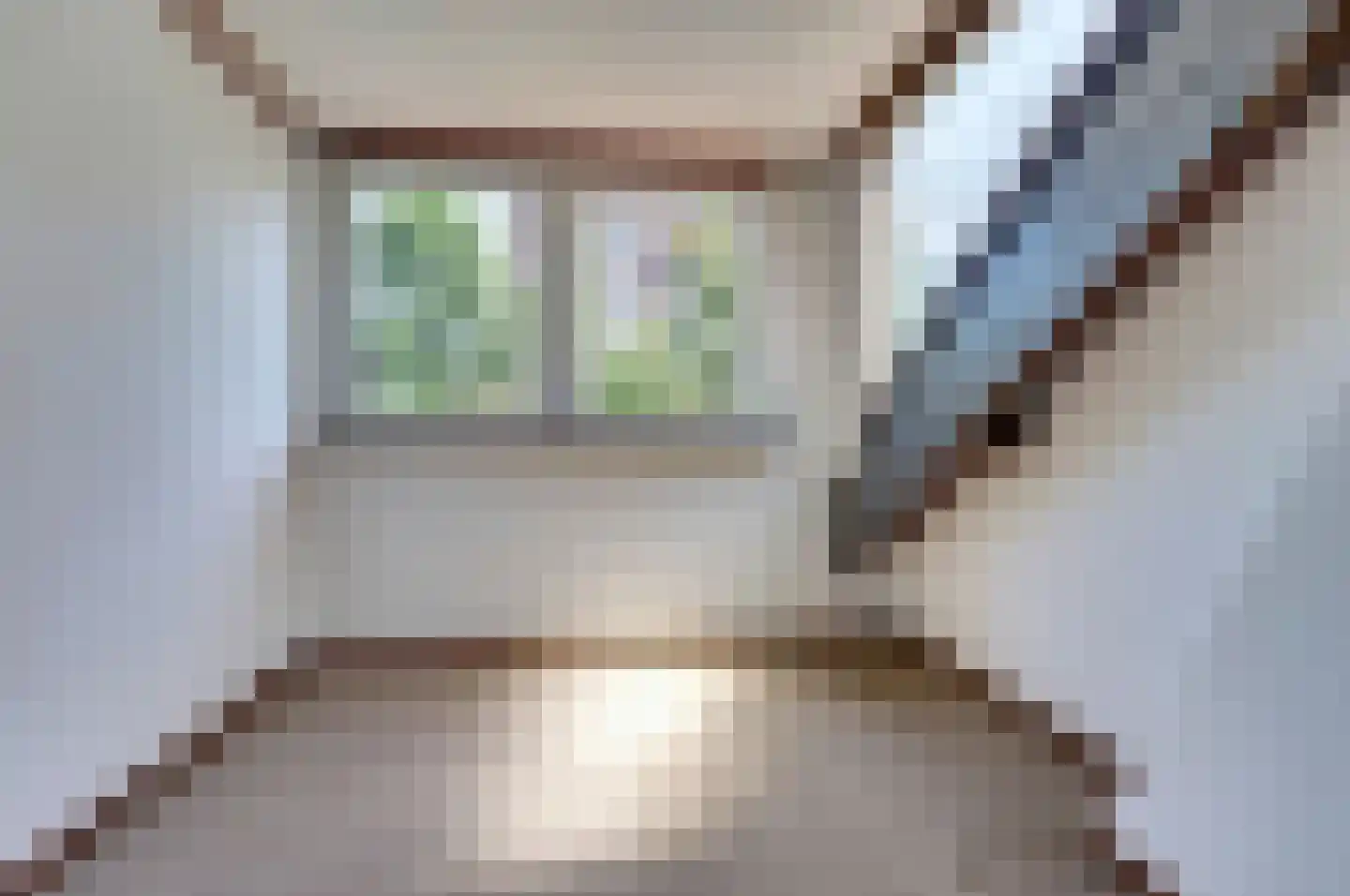 Jan van Beaumontstraat 60 Gouda thumbnail 35