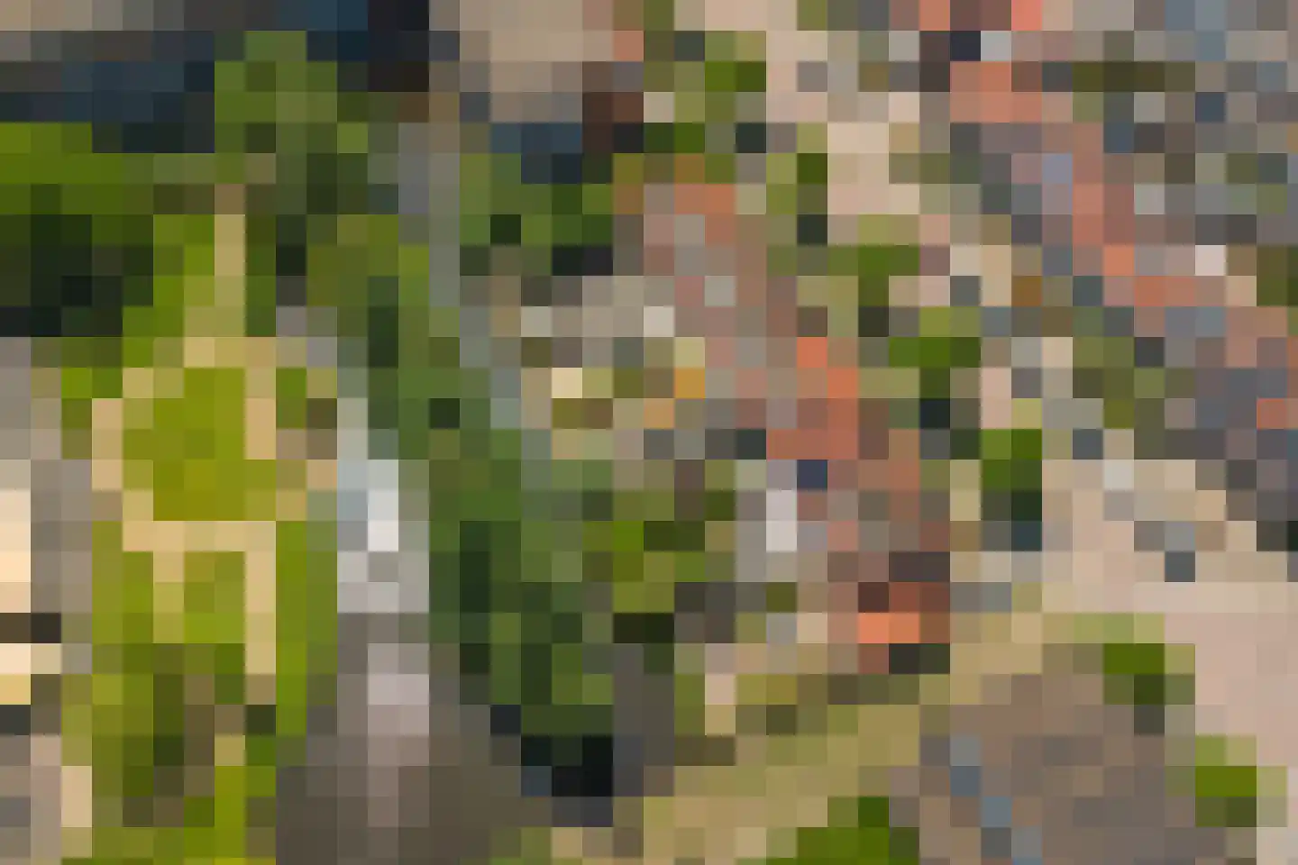 Jan van Beaumontstraat 60 Gouda thumbnail 48