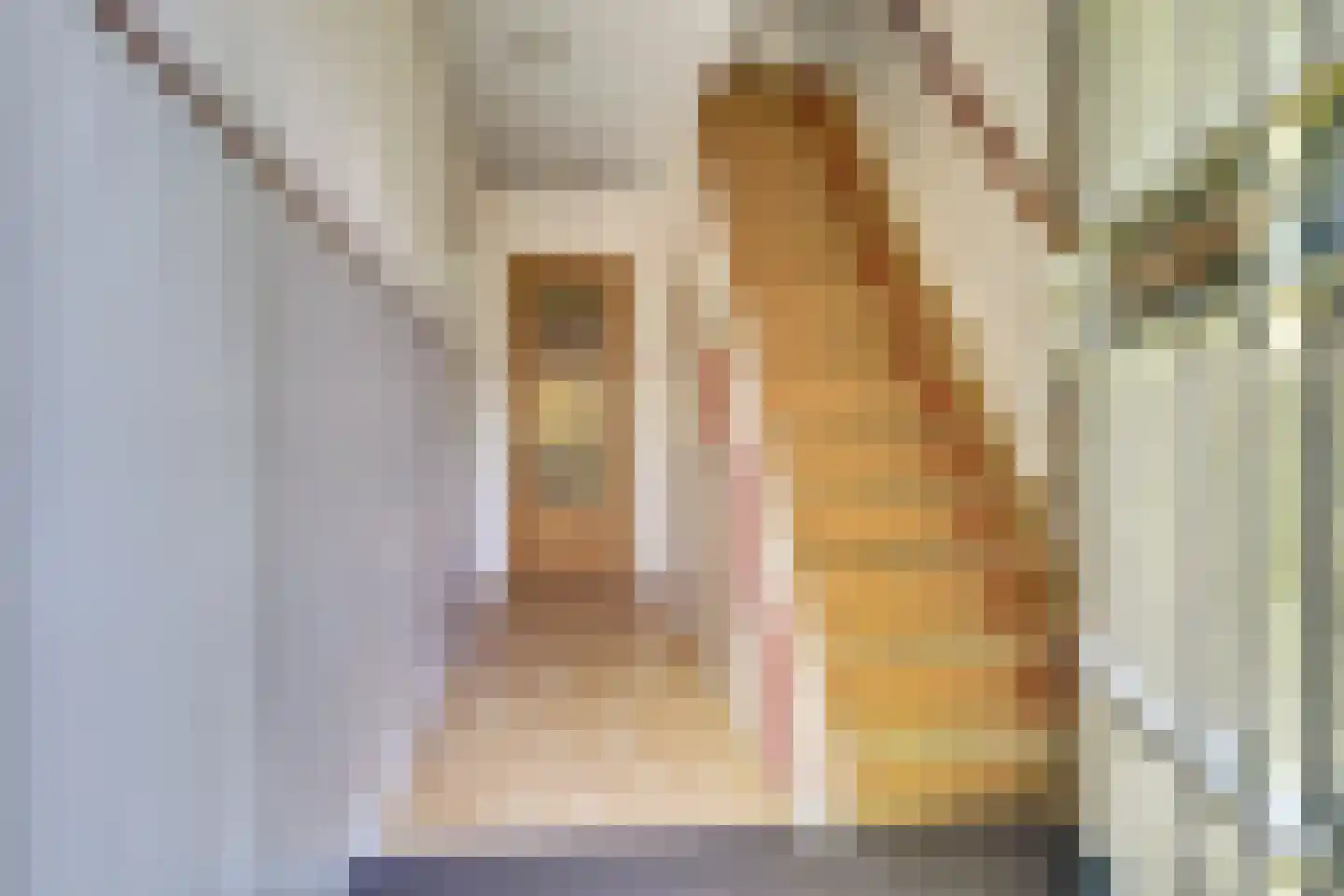 Jan van Beaumontstraat 60 Gouda thumbnail 6