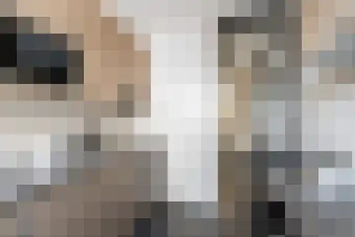 Jan van Beaumontstraat 8 Tholen thumbnail 13