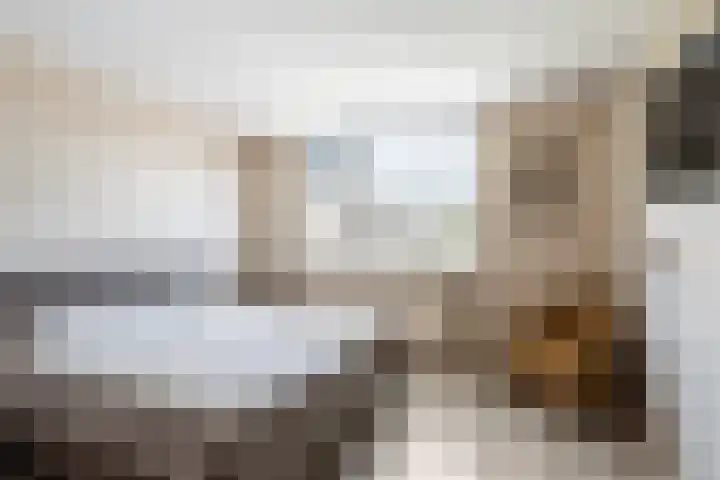 Jan van Beaumontstraat 8 Tholen thumbnail 14