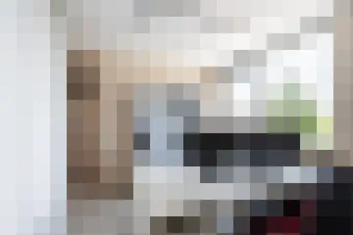 Jan van Beaumontstraat 8 Tholen thumbnail 18
