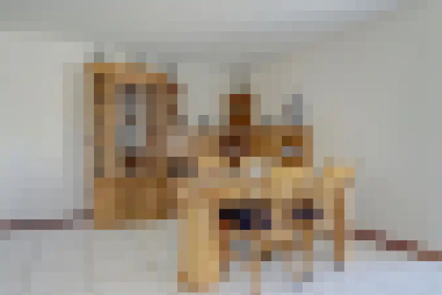 Jan van Beershove 21 Nieuwegein thumbnail 7