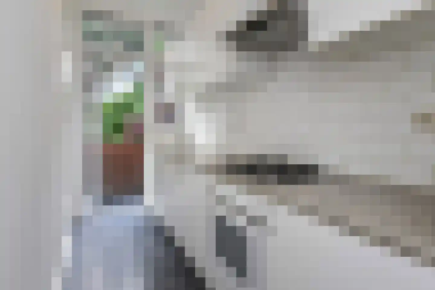 Jan van Beersstraat 142 Den Haag thumbnail 15