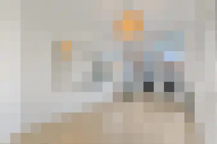 Jan van Beersstraat 43 Den Haag thumbnail 8