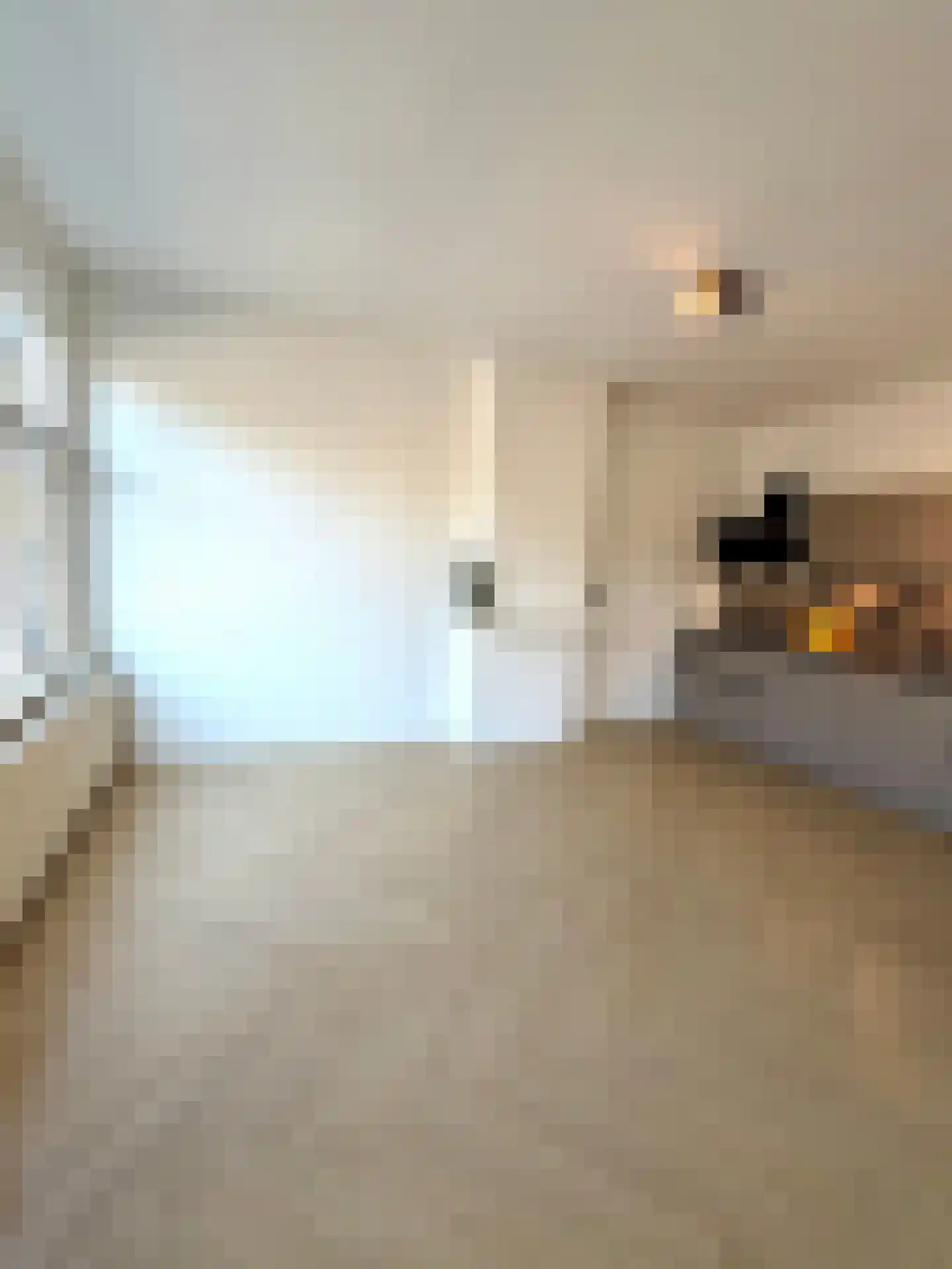 Jan van Beersstraat 46 Den Haag thumbnail 10