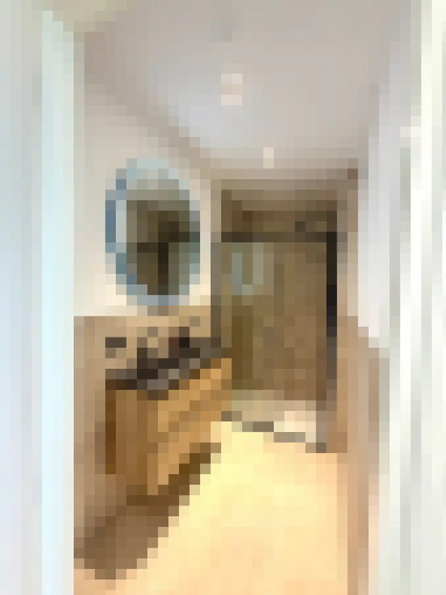 Jan van Beersstraat 46 Den Haag thumbnail 14