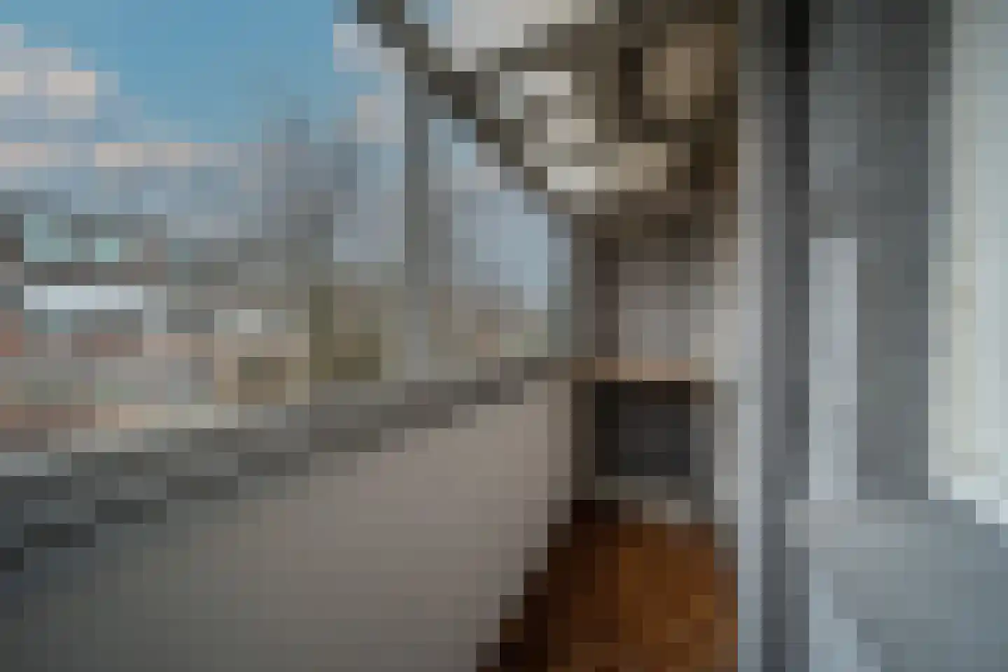 Jan van Beersstraat 46 Den Haag thumbnail 18
