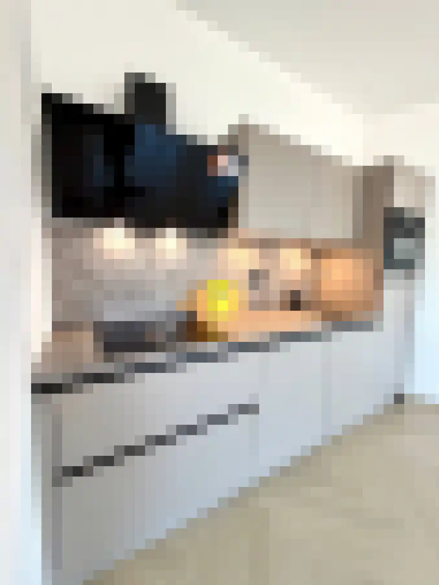 Jan van Beersstraat 46 Den Haag thumbnail 5