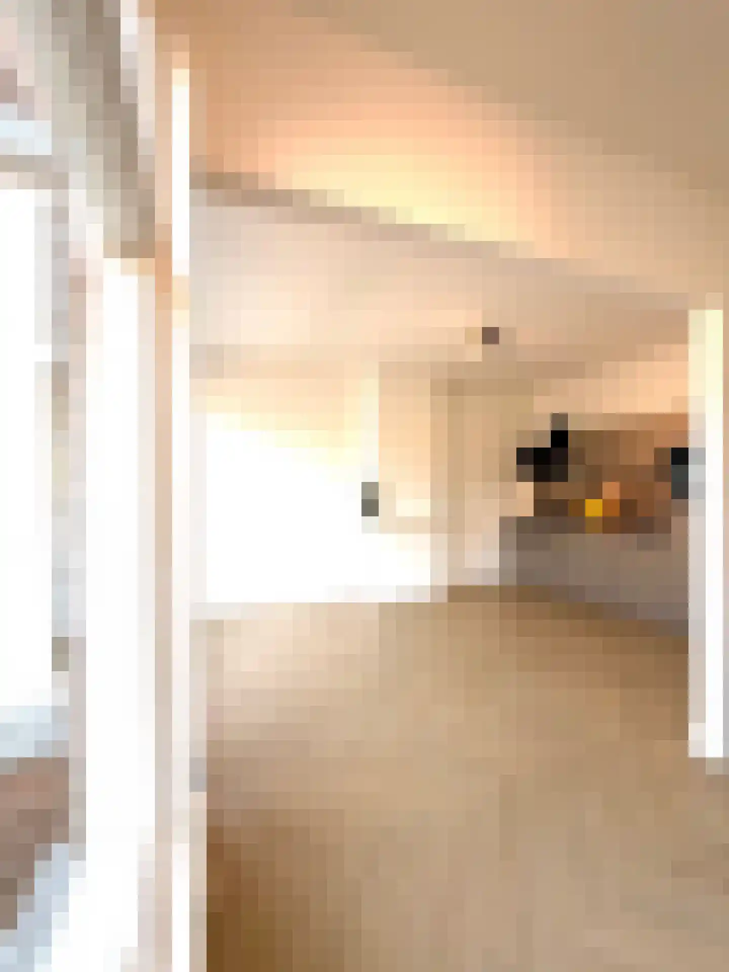 Jan van Beersstraat 46 Den Haag thumbnail 7