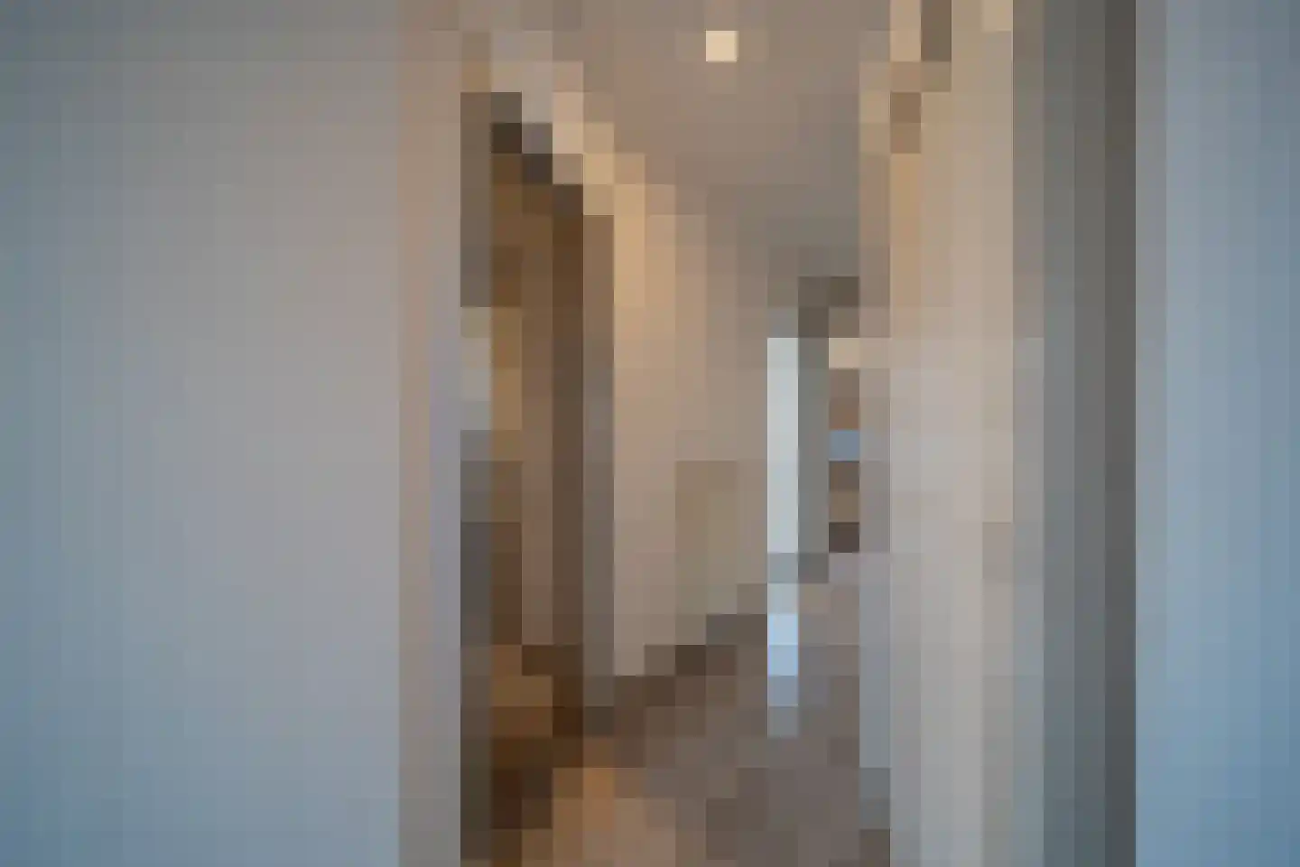 Jan van Beersstraat 46 Den Haag thumbnail 7