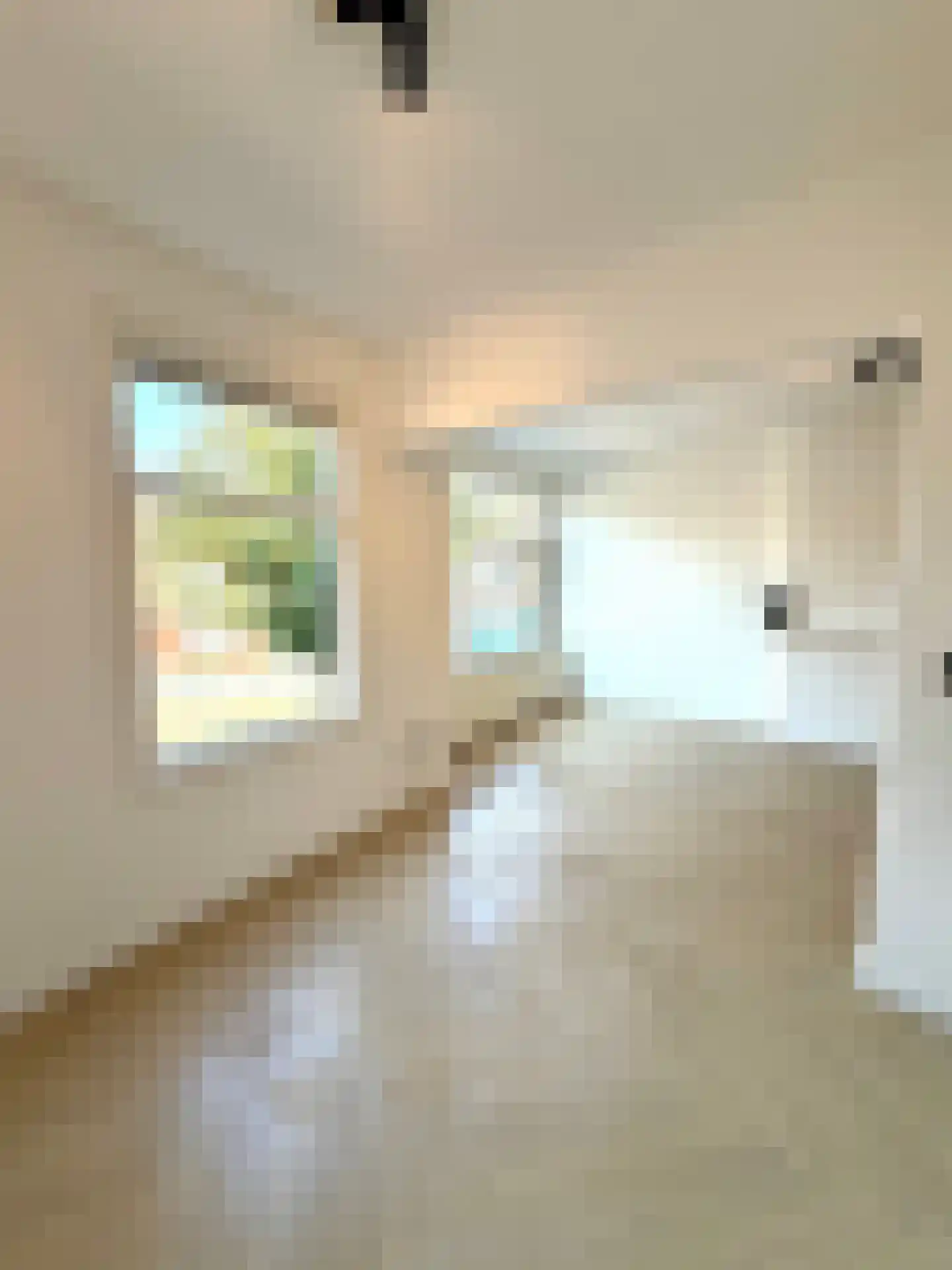 Jan van Beersstraat 46 Den Haag thumbnail 8