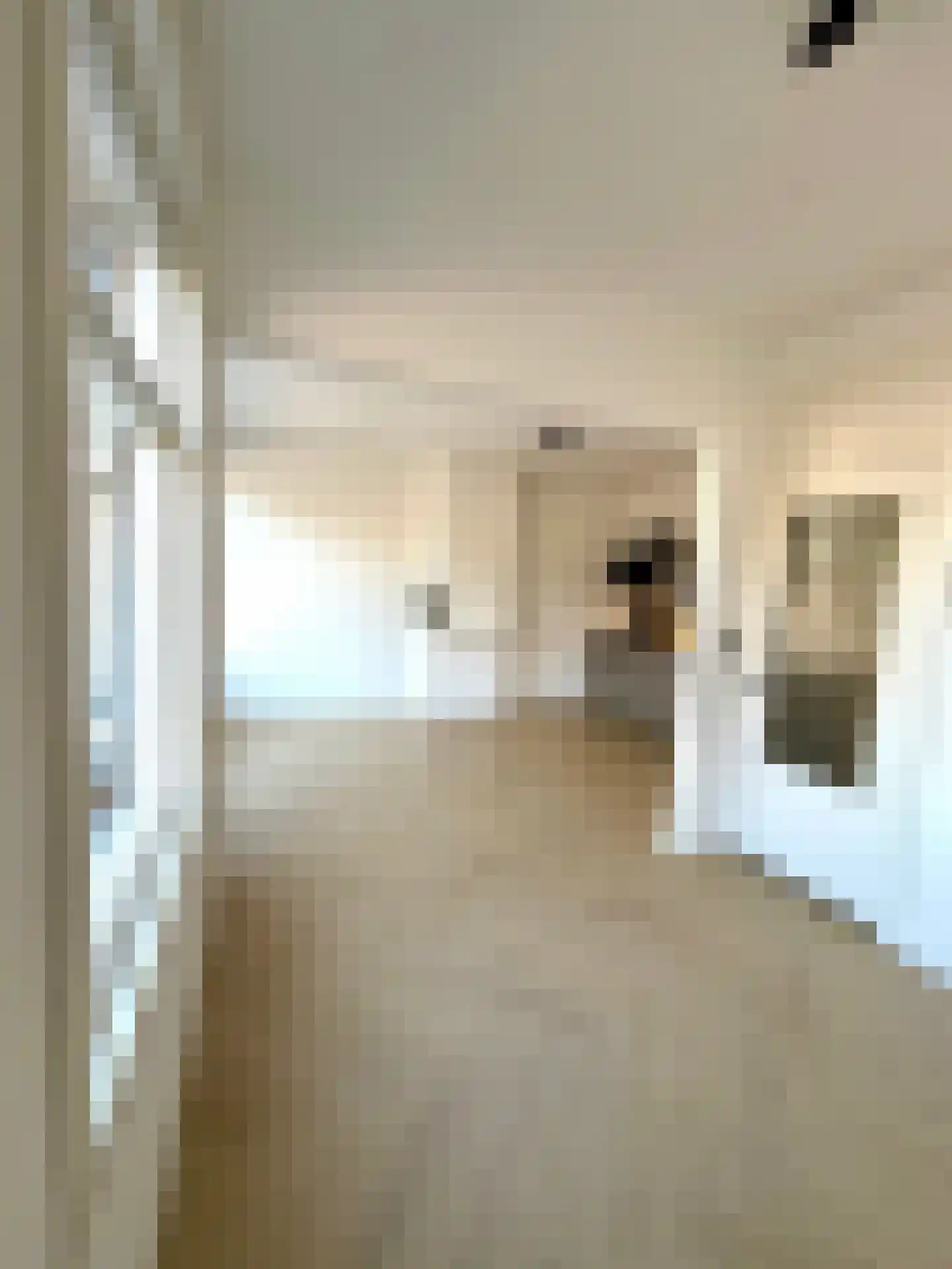 Jan van Beersstraat 46 Den Haag thumbnail 9