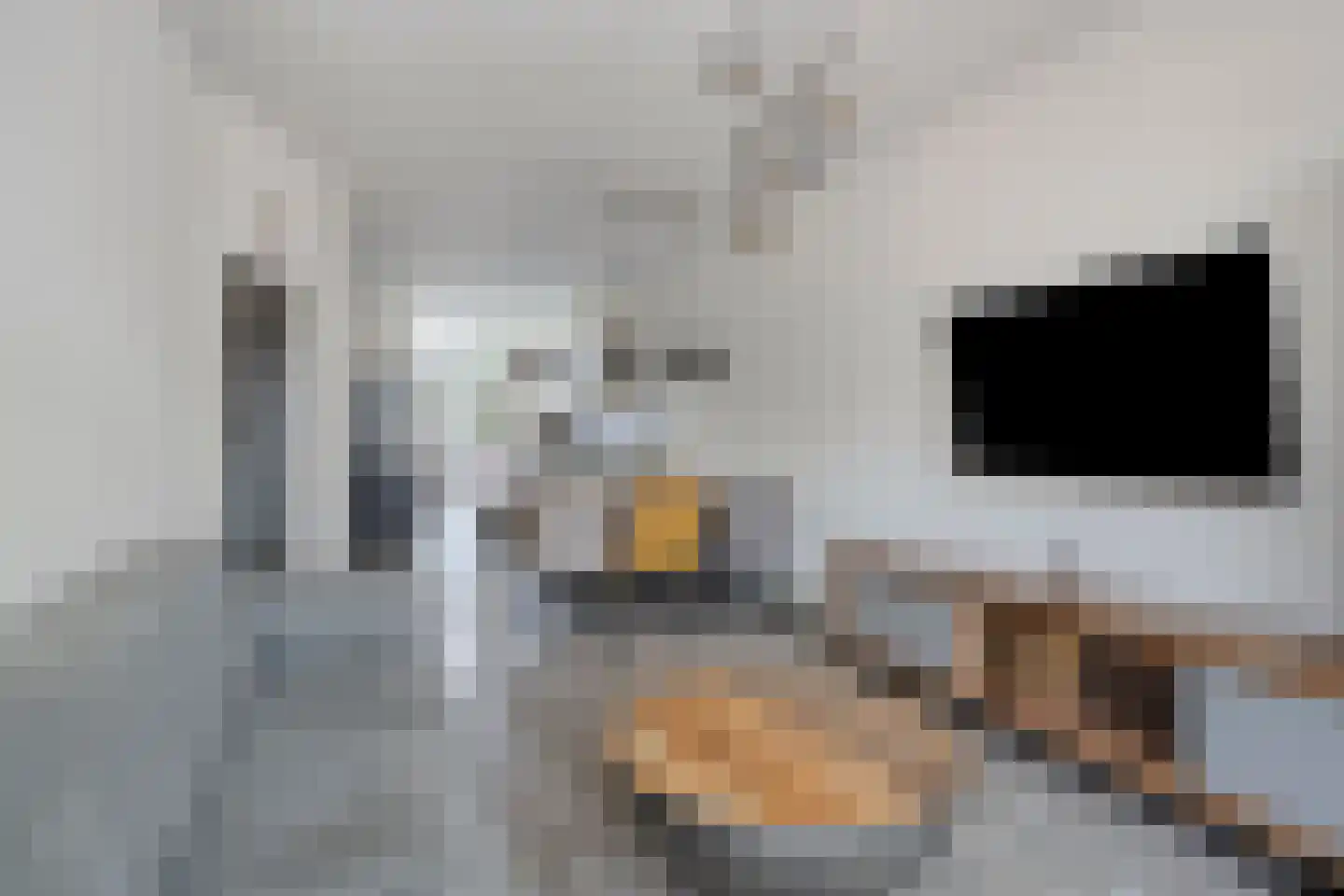 Jan van Beersstraat 76 Den Haag thumbnail 10