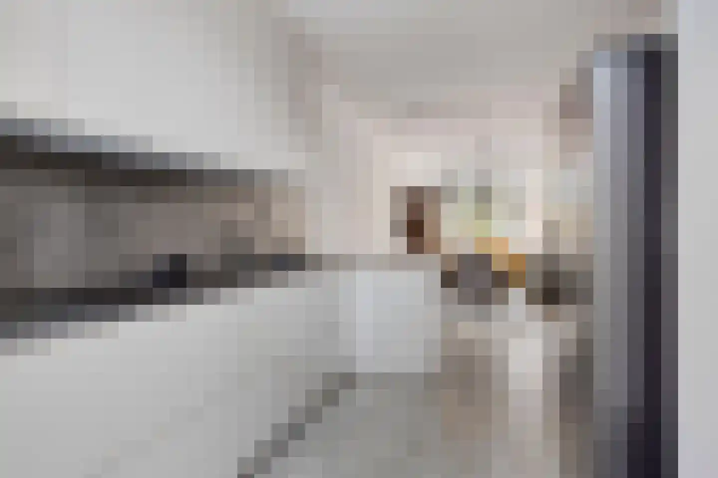 Jan van Beersstraat 76 Den Haag thumbnail 14