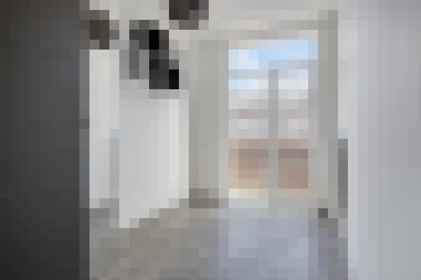 Jan van Beersstraat 76 Den Haag thumbnail 16